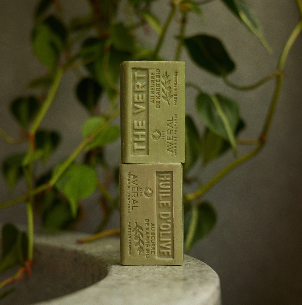 Averal Provence Green Tea and Olive Oil French bar soaps stacked on a concrete stool beside a trailing plant