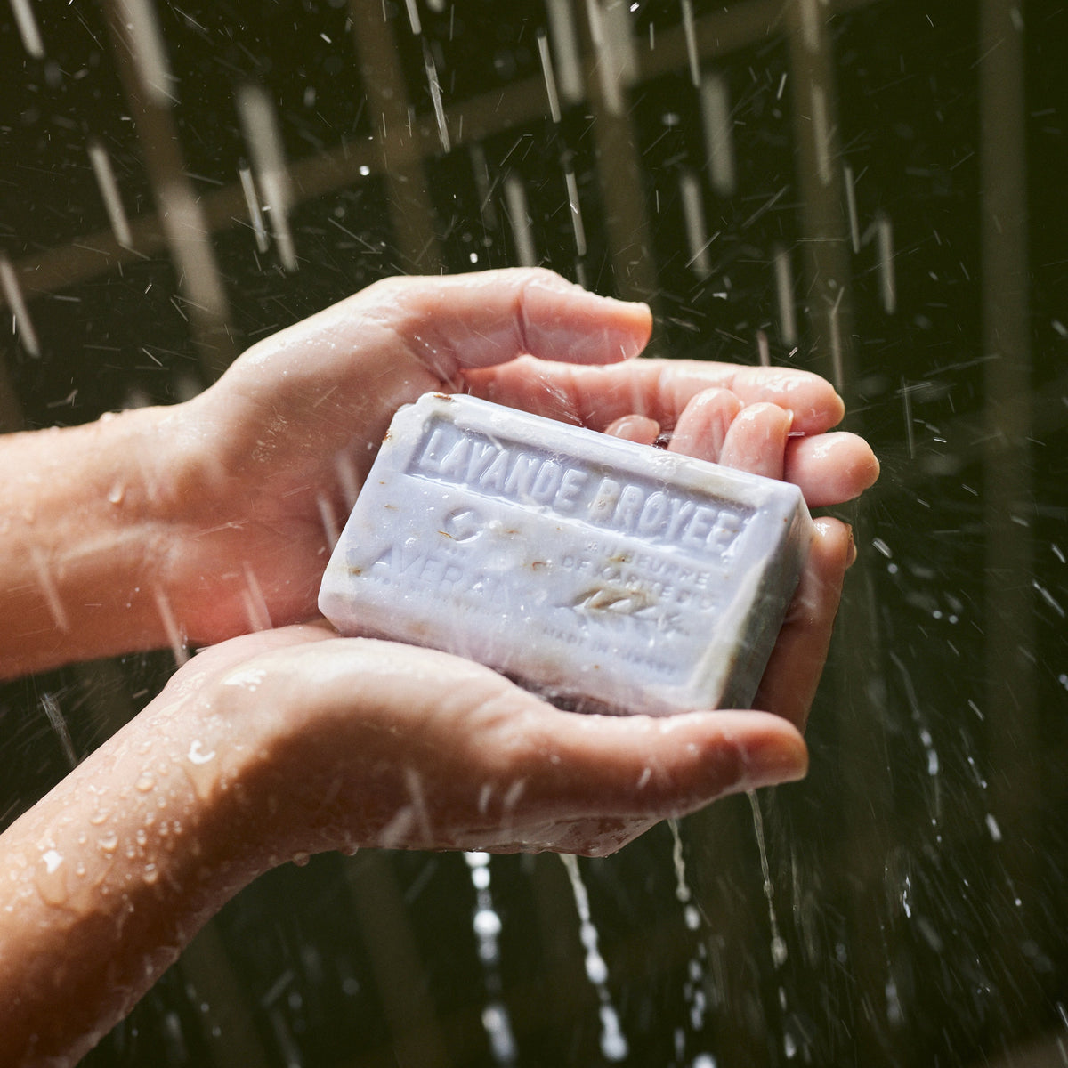 Wet hands holding an Averal Provence Crushed Lavender French bar soap under falling shower water