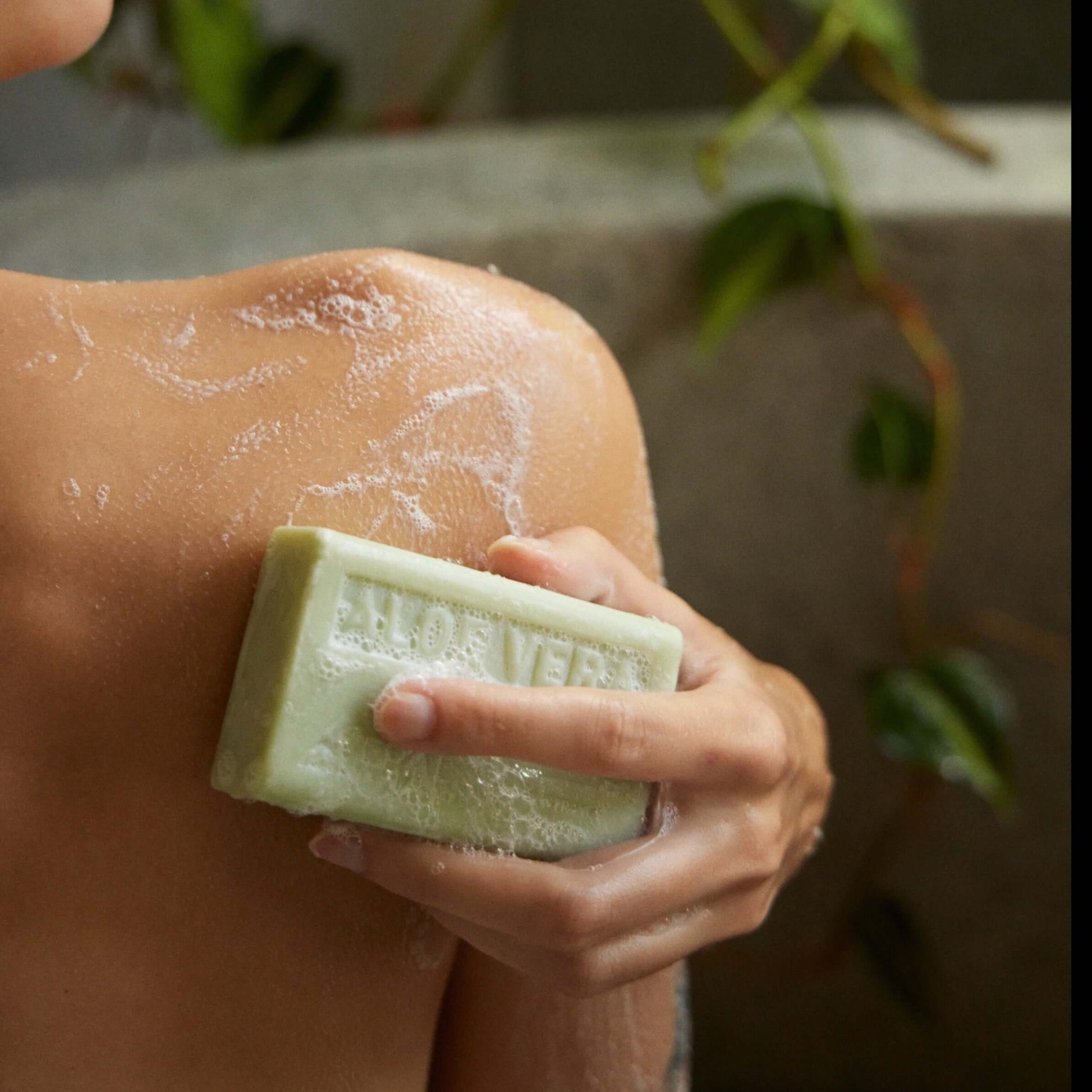 Aloe Vera Bar Soap